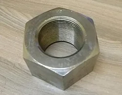 Nickel Alloy 718 Heavy Hex Nuts